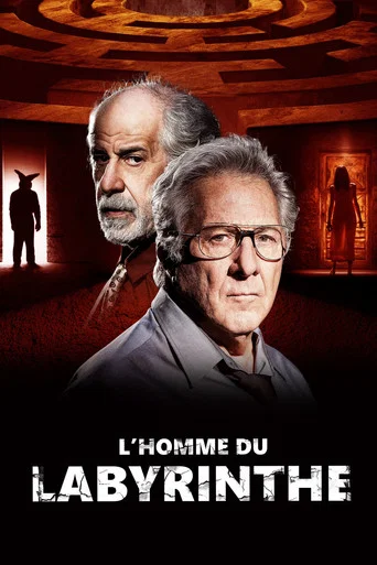 Regarder L'Homme du labyrinthe en streaming complet