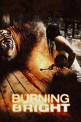 Regarder Dans l'œil du tigre en streaming complet